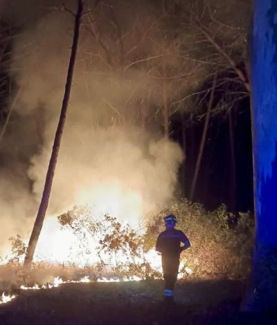Incendi in provincia di Cosenza: UST CISL, FAI CISL, FP CISL e FNS CISL territoriali chiedono un cambio culturale, maggiore responsabilità e più presidio umano